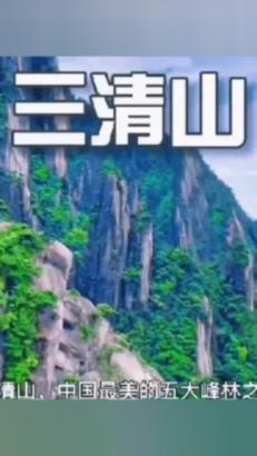 可爱熊猫逃生