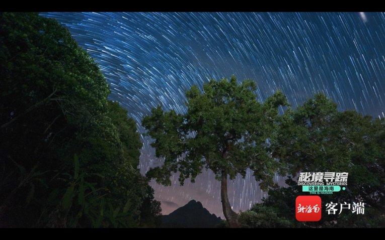 塔科马