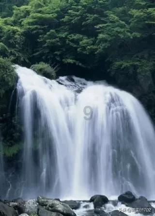 白萝卜含有丰富的维生素C和淀粉酶,有助于消化,并且可以止咳